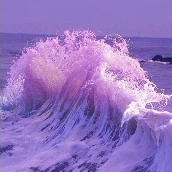 Meet your Posher, Theresa - Picture 3 of 3